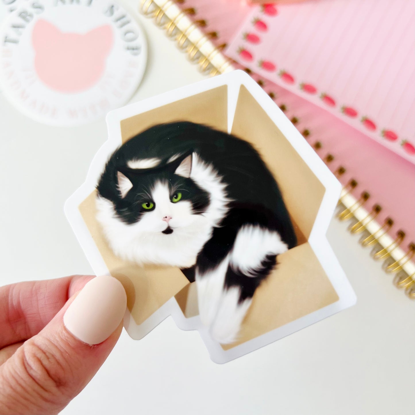 Gizmo | Tuxedo Cat