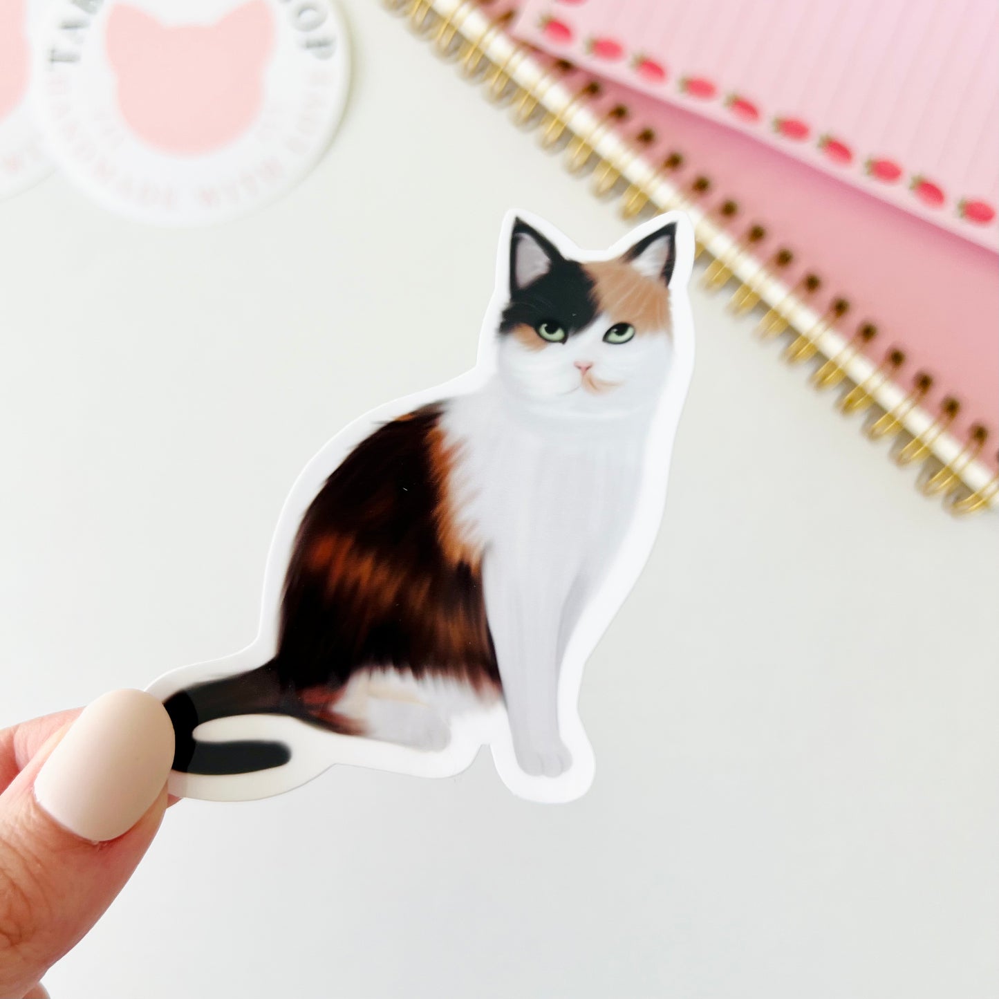 Calico Cat