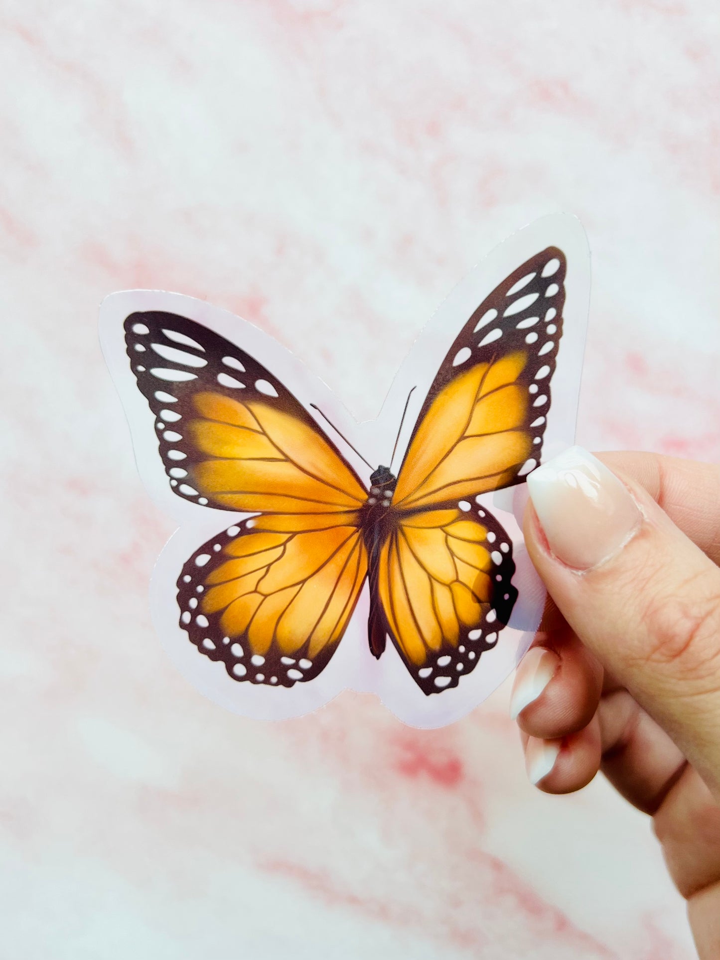 Monarch Butterfly Sticker