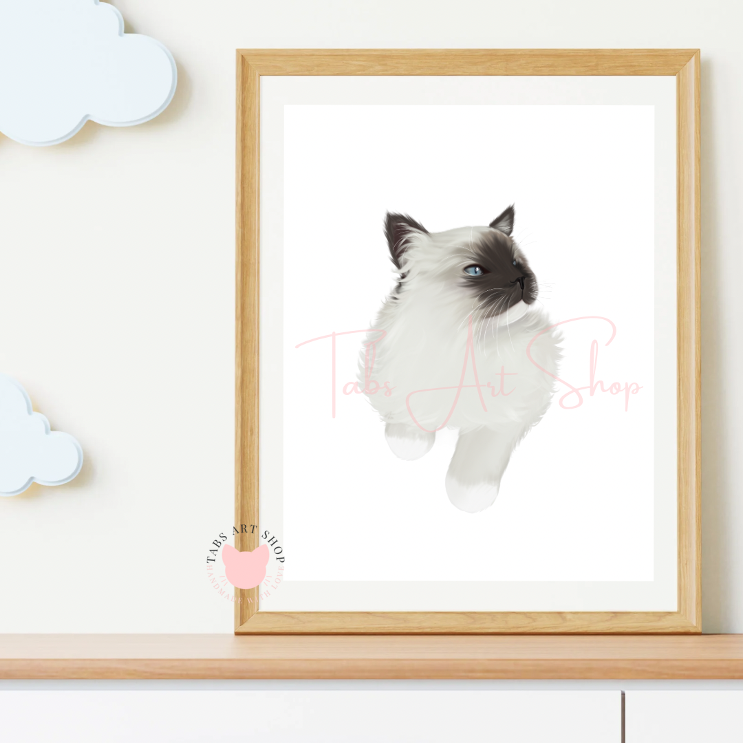 Ragdoll Cat Print