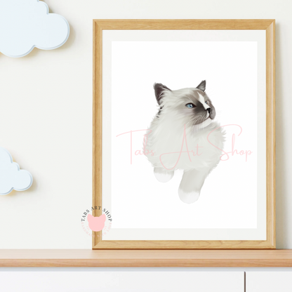 Ragdoll Cat Print